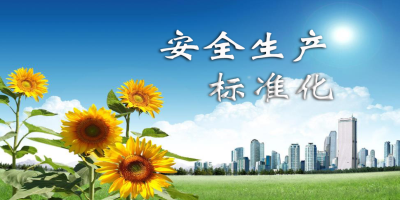 安全生产标准化 - 副本.jpg
