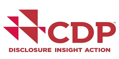 cdp认证-站内.jpg cdp认证-站内.jpg